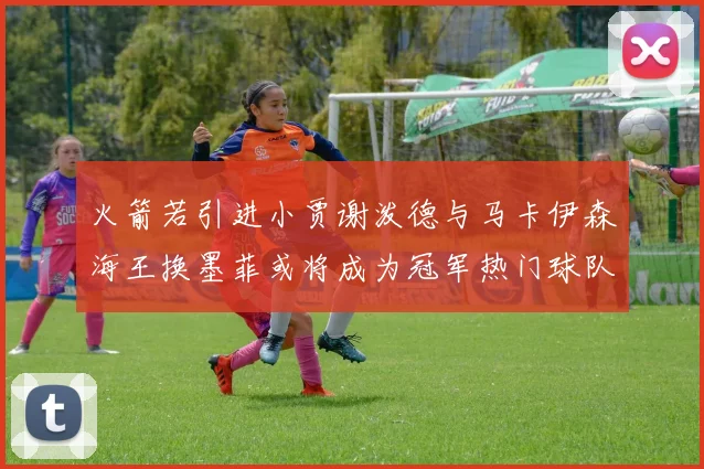 火箭若引进小贾谢泼德与马卡伊森海王换墨菲或将成为冠军热门球队
