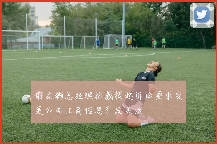 前龙狮总经理林葳提起诉讼要求变更公司工商信息引发关注